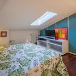 Attico Marino